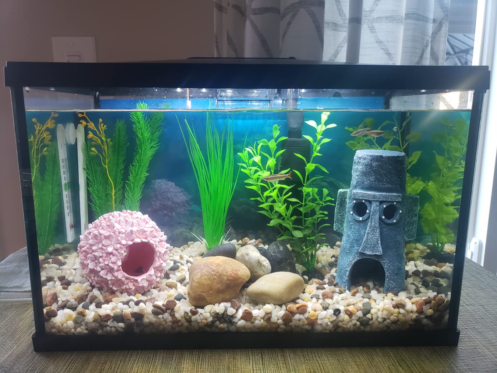 Marina 5 Gallon (19 L) LED Aquarium Kit, Ideal for Beginner Aquarists and New Fish-Keepers customer photo 2