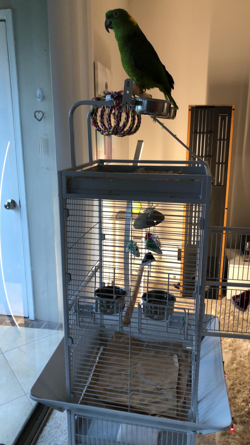 Yaheetech 61 Inch Playtop Parrot Bird Cage with Rolling Stand, Wrought Iron Parrot Cage for Cockatiels Quaker Conure Parakeet customer photo 2