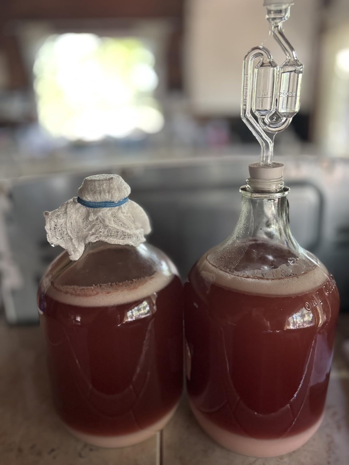 1 Gallon Glass Jug with Airlock, Black Polyseal Cap and #6.5 Rubber Bung | Clear Fermentation Jug for beer, wine, cider, mead and kombucha, with twin bubble airlock for home brewing customer photo 2