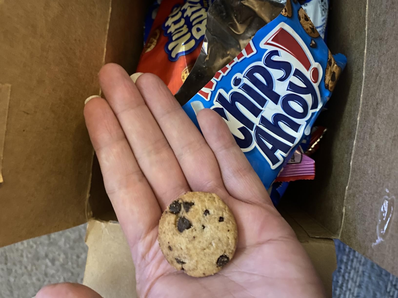 Nabisco, Classic Mix Variety Pack, Oreo Mini, Chips Ahoy! Mini, Nutter Butter Bites, Ritz Bits Cheese, 20 Snack Packs customer photo 2