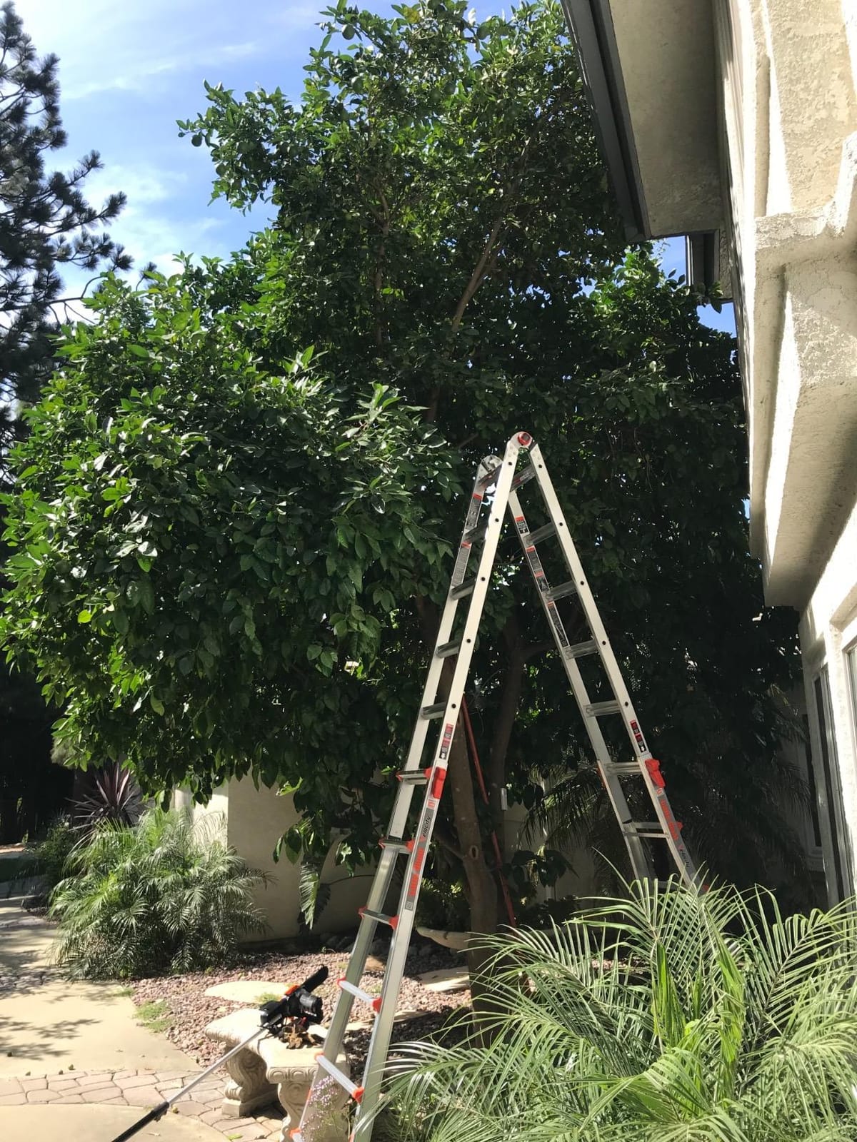 Little Giant Velocity, Aluminum Ladder, 26 ft Reach, 15426-001 | Telescoping Multi-Position Ladder with Extension, A-Frame, 90-Degree & Trestle Modes, Tip & Glide Wheels, 300 lbs. Rating customer photo 2