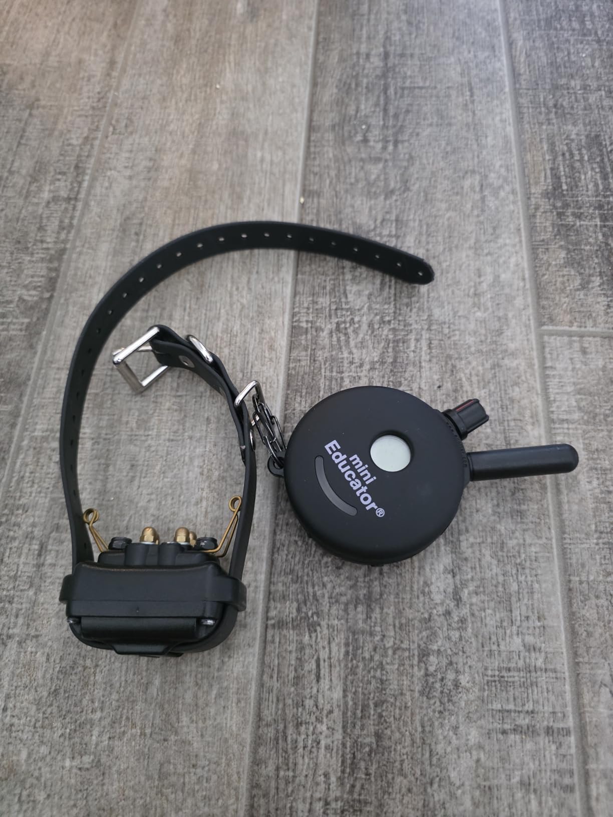 Educator ET-300 Mini E Collar for Dog Training with Remote - 1/2 Mile Range, Waterproof, 100 Blunt Stimulation Levels, Tone or Vibration Mode, Night Light Tracking customer photo 1
