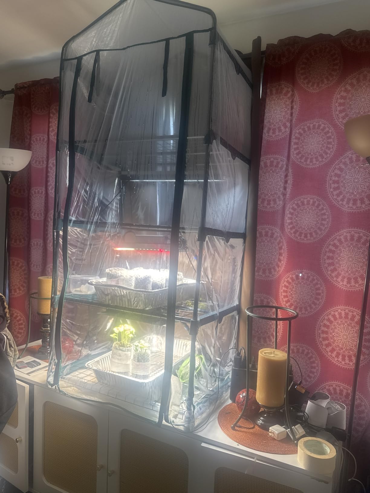 4 Tier Mini Greenhouse - Portable Greenhouse with Locking Wheels and PVC Cover for Indoor or Outdoor Green House by Pure Garden customer photo 1