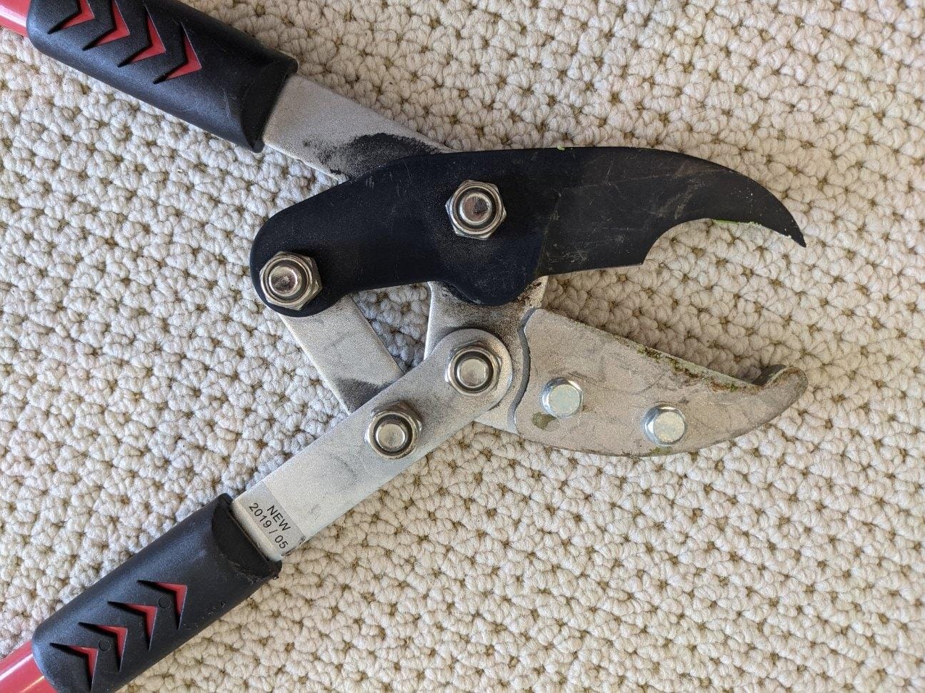 TABOR TOOLS GG12A Anvil Lopper with Compound Action, 30 Inch Tree Trimmer & Branch Cutter, Heavy Duty Tree Pruner with 2 Inch Cut Capacity, Chops Thick Dry Branches with Ease customer photo 1