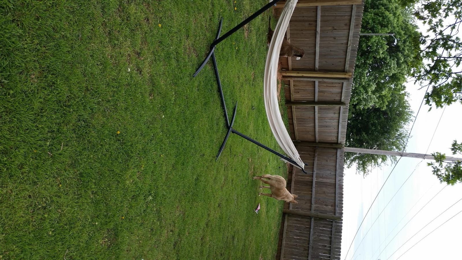 FDW Portable Hammock Double Stand | No Hammock | Sturdy Steel Construction | 400lbs Max Load | Height Adjustable | Double Stand for Improved Stability | For Home, Balcony, Porch Swing, Beach customer photo 1
