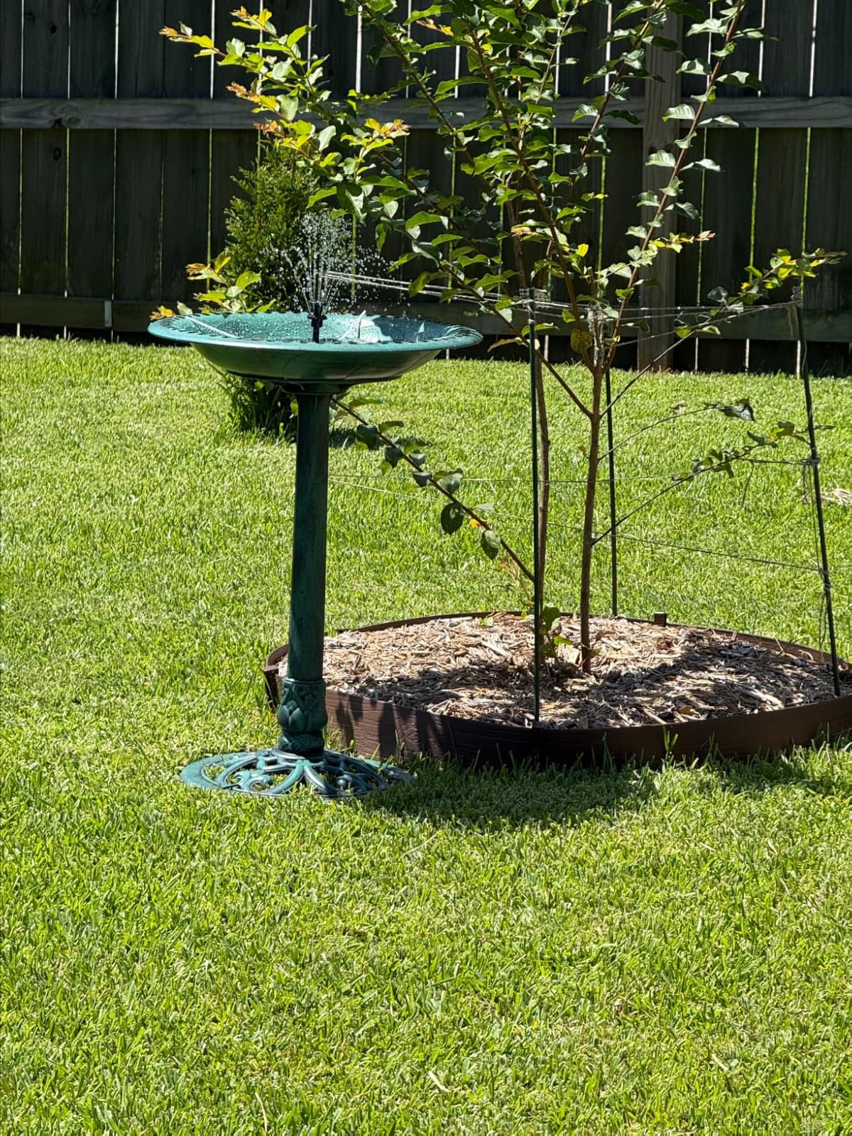 Best Choice Products 28in Pedestal Bird Bath, Vintage Outdoor Resin Accent Decoration w/Fleur-de-Lis Accents - Green customer photo 2