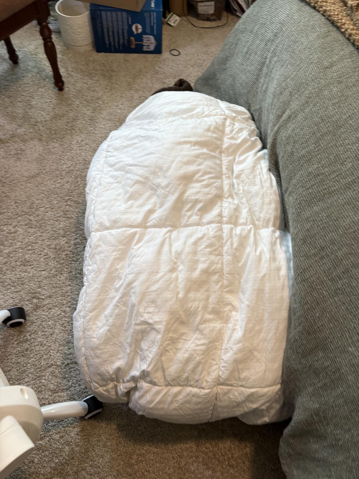 Utopia Bedding Duvet Insert, Comforters Queen Size 88 x 88 Inches, White | Cozy All Season Comforter for Kids, Boys, Girls, and Teens, Down Alternative Fill, Soft Microfiber Shell, Machine Washable customer photo 1