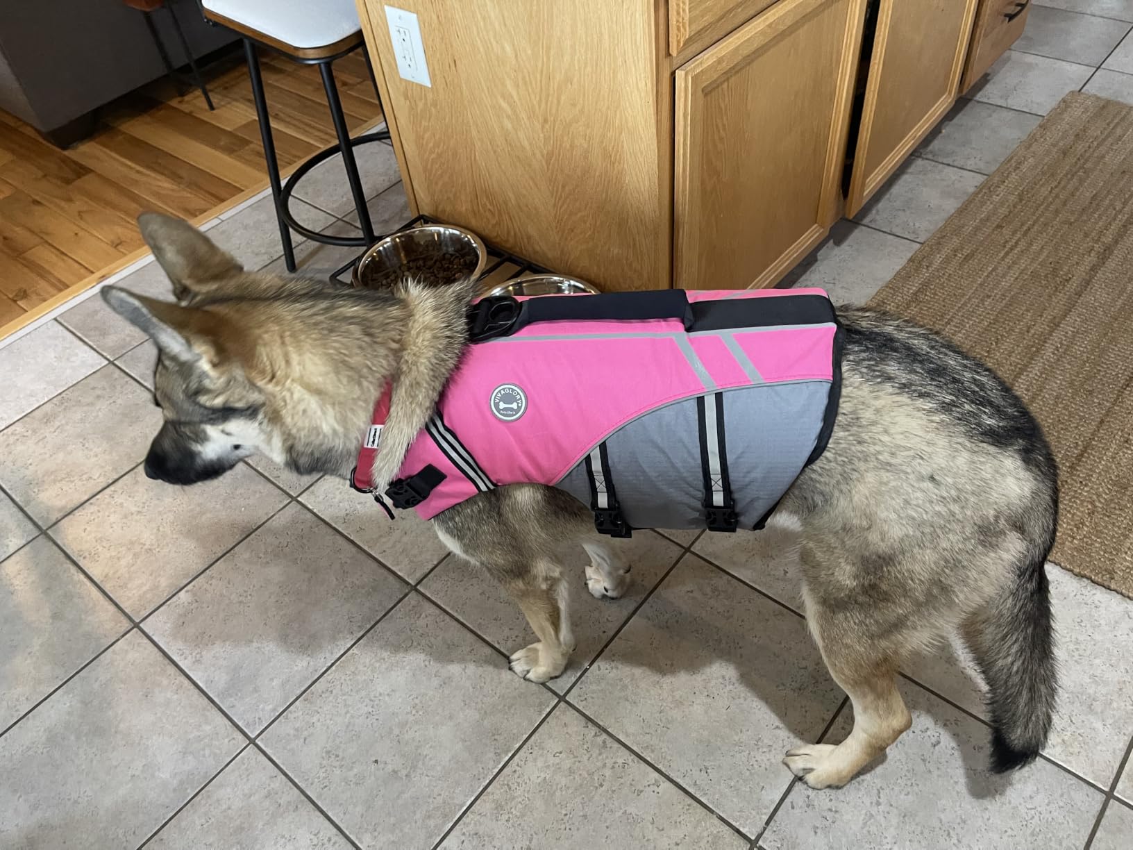 VIVAGLORY Dog Life Vest Sports Style Dog Swim Vest, M, Blue customer photo 2