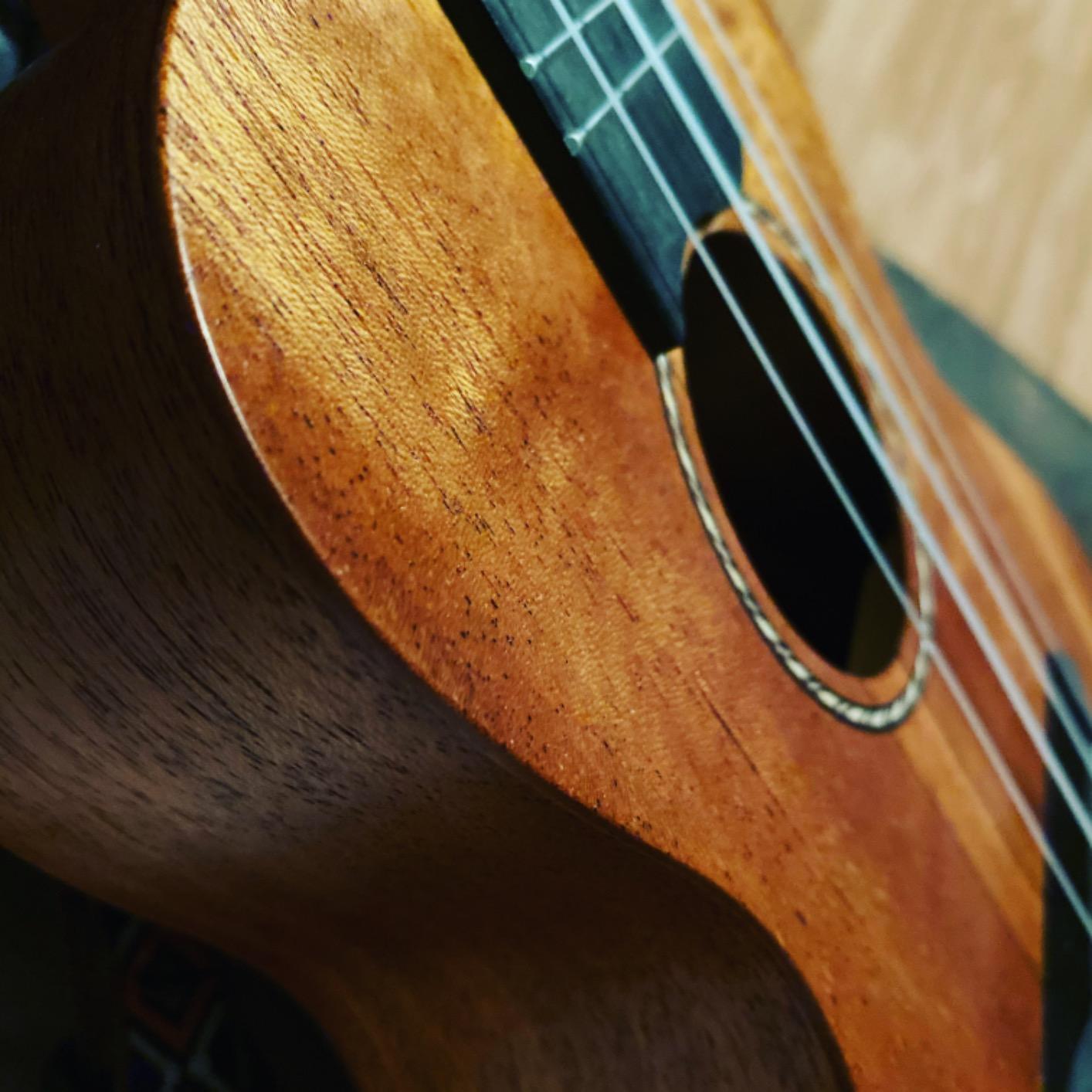 Donner Concert Ukulele Beginner Mahogany 23 Inch Ukelele Kit with Free Online Lesson Gig Bag Strap Nylon String Tuner Picks Cloth DUC-1 Gift Choice customer photo 2
