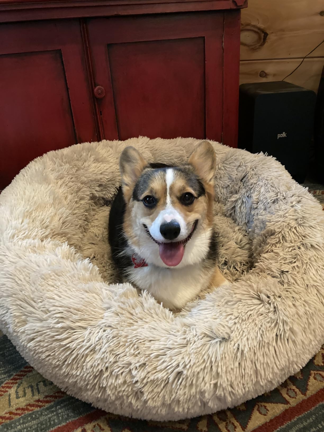 Best Friends by Sheri Original Calming Donut Dog Bed, Taupe, Small, 23