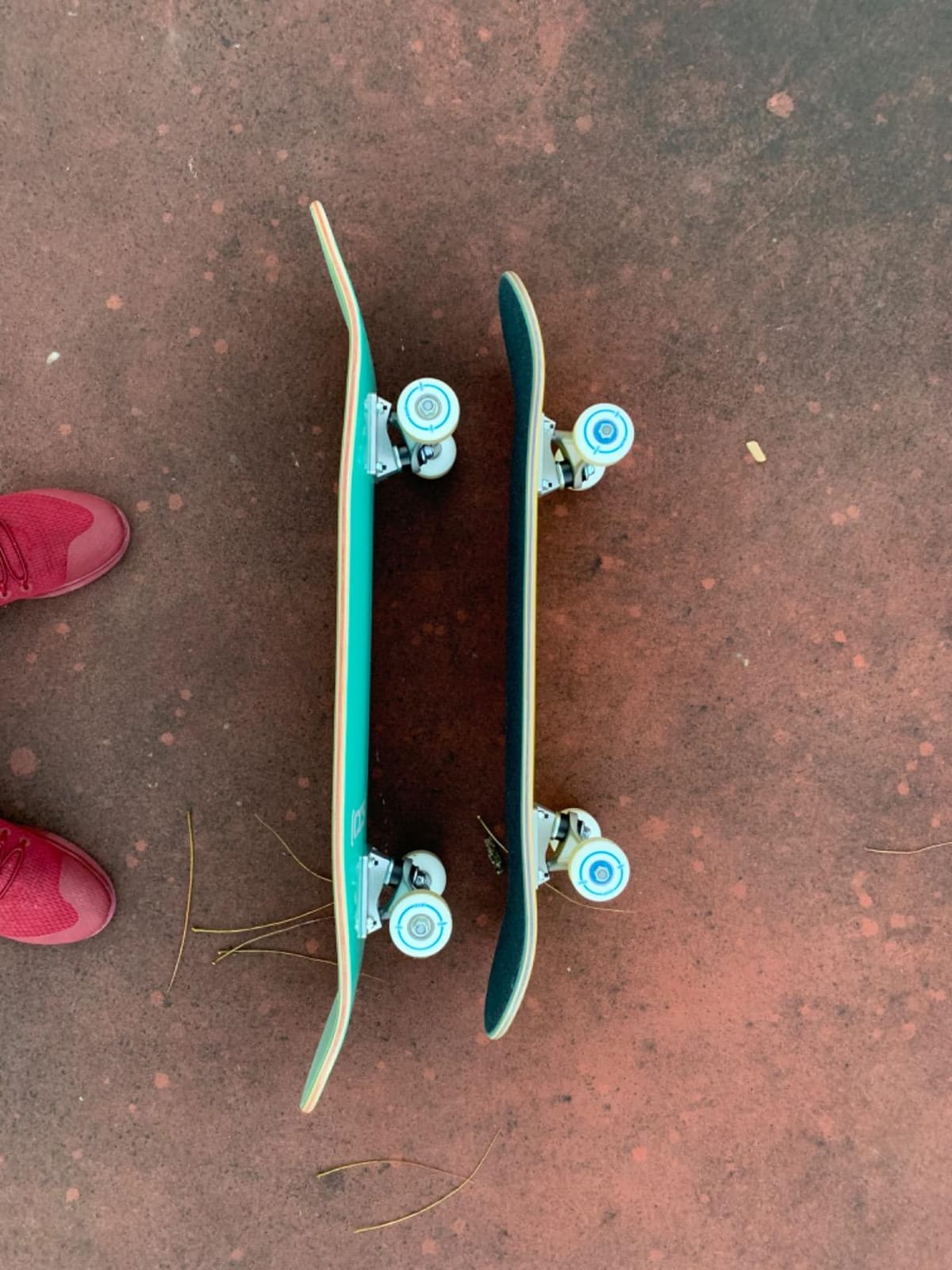 [CCS] Skateboard Complete | Maple Wood | Professional Grade | Fully Assembled with Skate Tool & Stickers | Adults, Kids, Teens, Youth | Boys & Girls customer photo 2