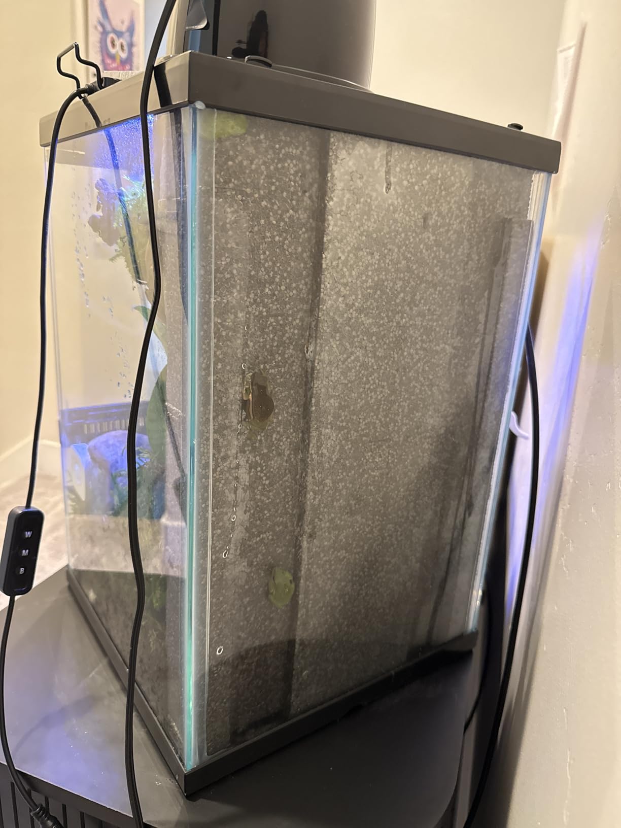 Zilla 11 Gallon Glass Tropical Vertical Habitat Starter Kit for Small Tree Dwelling Reptiles & Amphibians customer photo 1