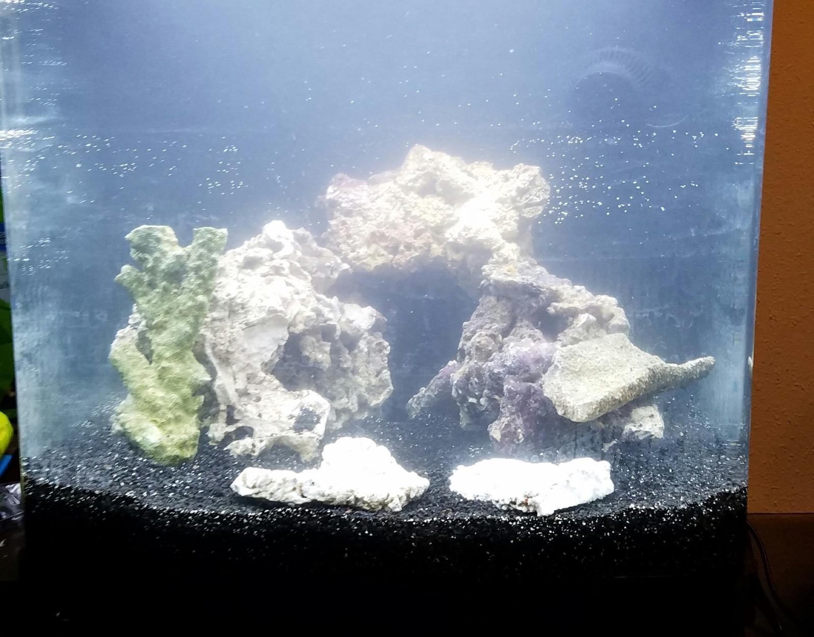 Coralife BioCube, Aquarium Kit, Integrated 24-hour Timer, Customizable LED Lighting, for Saltwater and Freshwater Environments, 32 Gallon customer photo 1