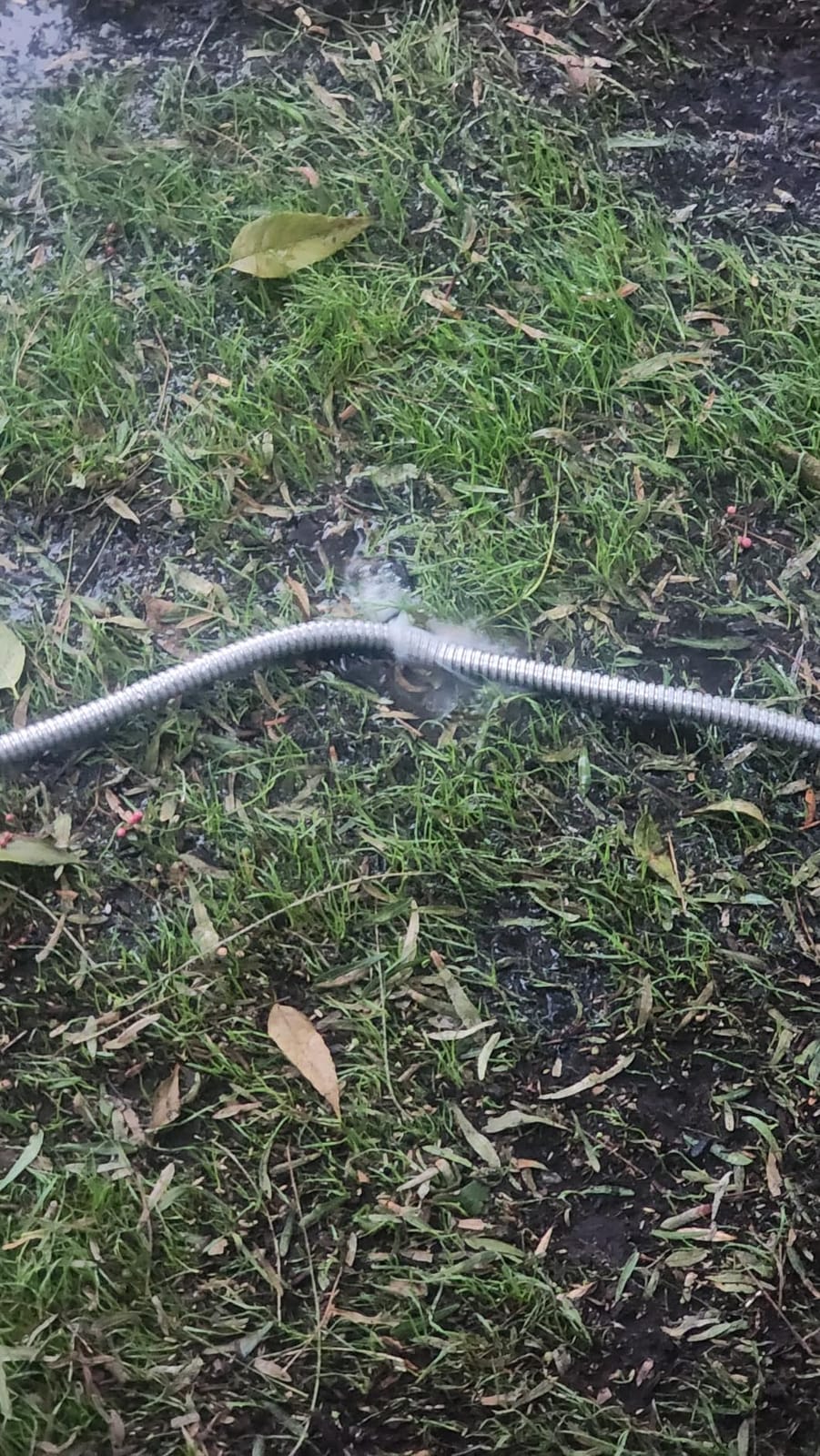 BIONIC STEEL 50 Ft Metal Garden Hose with Sprayer Nozzle | Non Kinking Design, Stainless Steel Heavy Duty Water Hose 50Ft x 5/8 in. Flexible & NON Expandable for Water Flow, 500 PSI customer photo 2