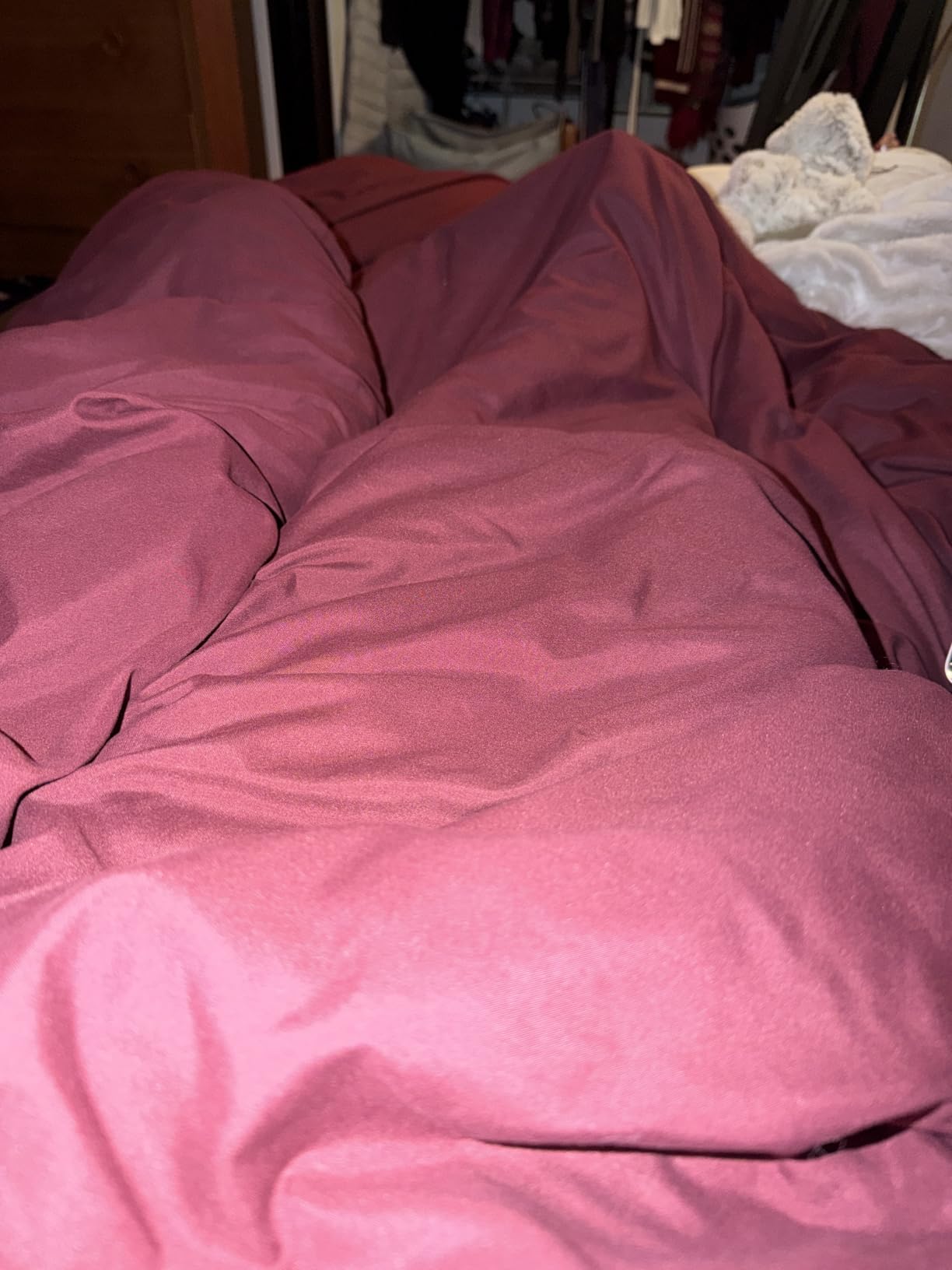 Amazon Basics White Down Alternative Comforter and Duvet Insert with Corner Tabs, Machine Washable, Full/Queen, Light customer photo 2