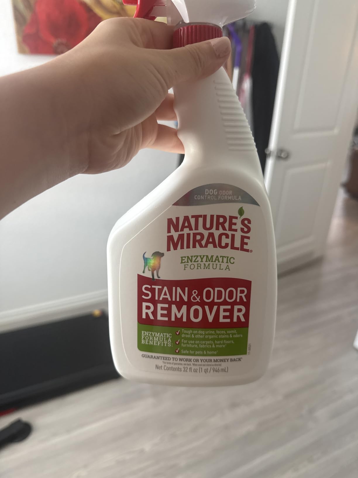 Nature's Miracle Dog Stain & Odor Remover, Enzymatic Cleaner, 32 oz | Tough on Dog Urine, Feces, Vomit, Drool and Other Organic Stains and Odors, For Multiple Surfaces, Fresh Scent customer photo 1