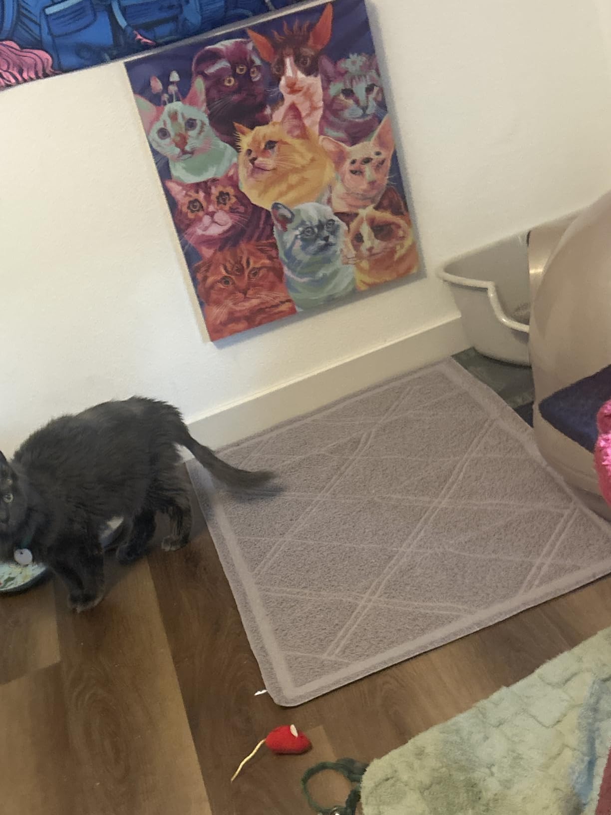 Amazon Basics Less-Mess Litter Trapping Cat Litter Box Mat, Soft on Kitty Paws, Waterproof, Scatter Control, 24