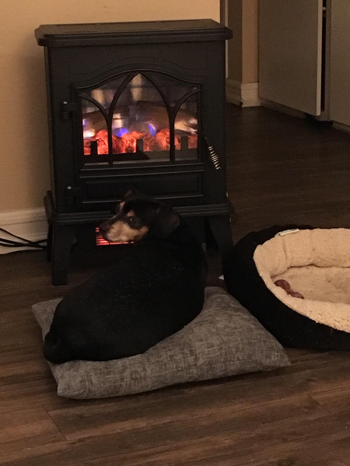 duraflame 3D Infrared Quartz Electric Fireplace Stove Heater, Black customer photo 2