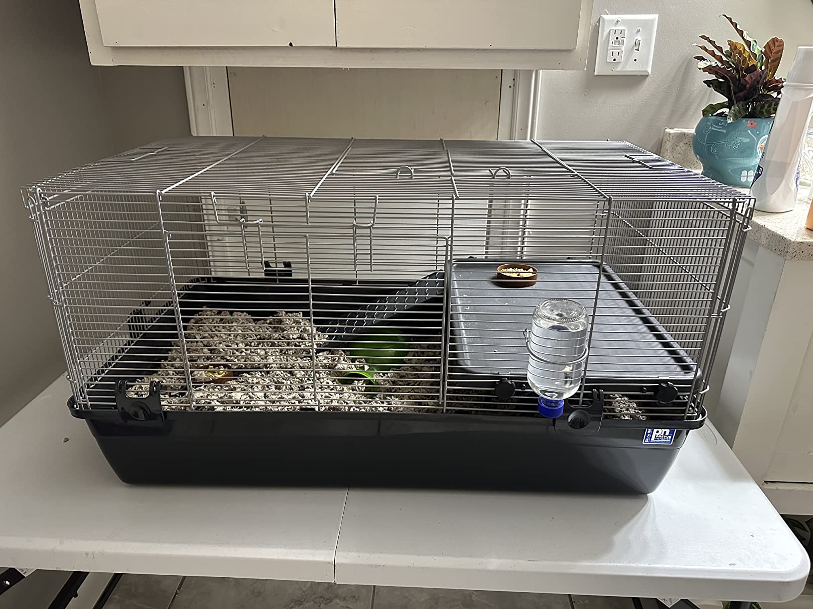 Prevue Pet Products Universal Small Animal Home for Indoor Use - Gray | Small Animal Cage for Hamsters, Guinea Pigs, Ferrets, Dwarf Rabbits, Rats, Chinchillas, & Hedgehogs, Tight Wire Spacing customer photo 1