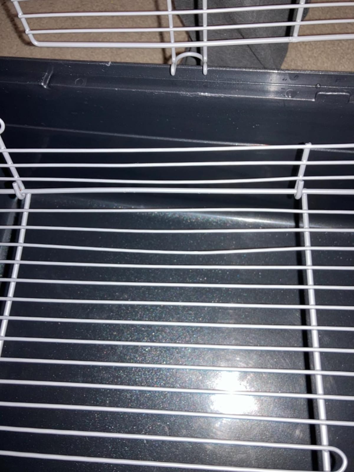 Prevue Pet Products Universal Small Animal Home for Indoor Use - Gray | Small Animal Cage for Hamsters, Guinea Pigs, Ferrets, Dwarf Rabbits, Rats, Chinchillas, & Hedgehogs, Tight Wire Spacing customer photo 2