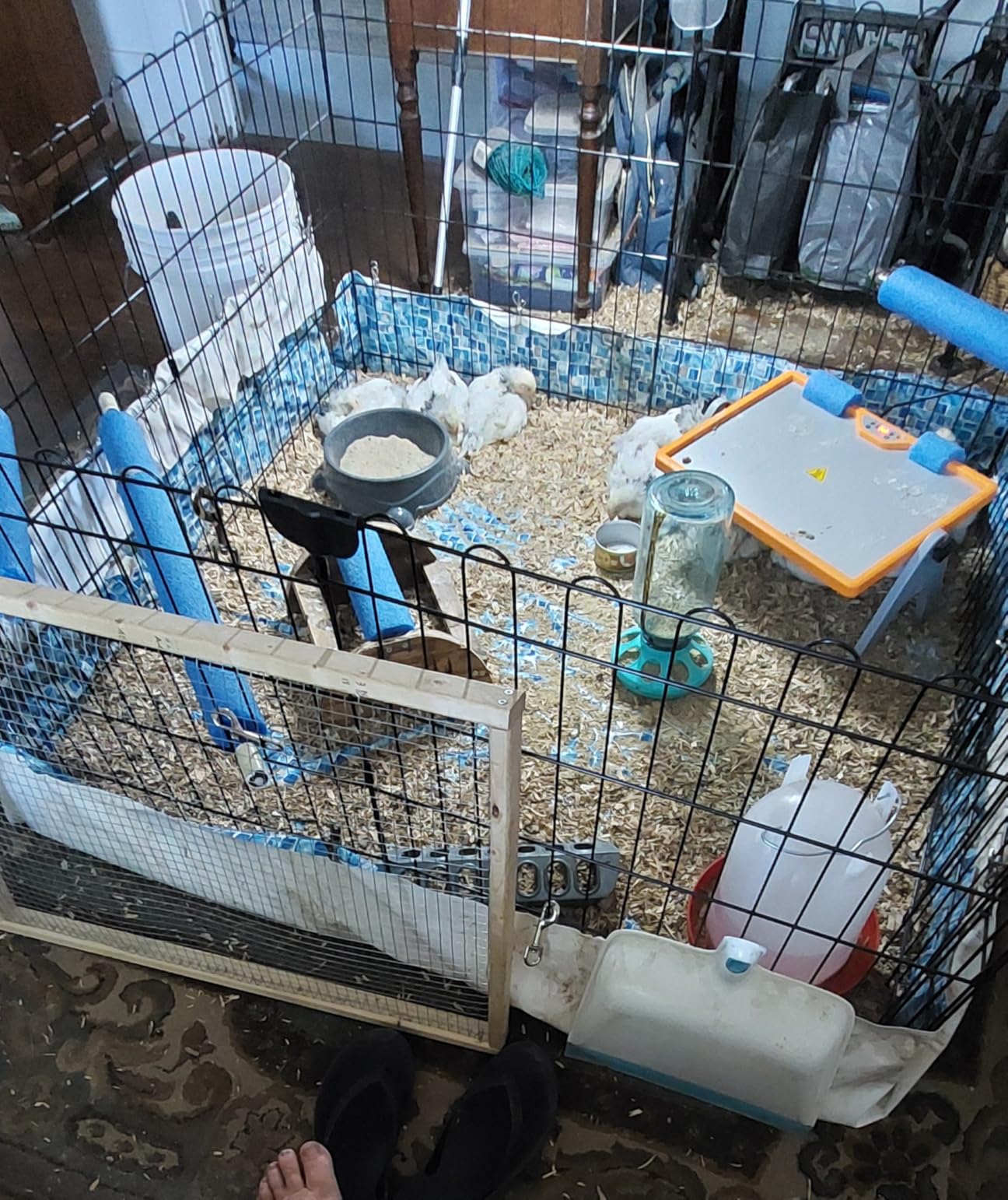 Amazon Basics Portable Foldable Octagonal Metal Exercise Dog Playpen, Indoor/Outdoor Pet Fence with Single Door, 8 Panels, Small, 30 Inches, Black customer photo 1