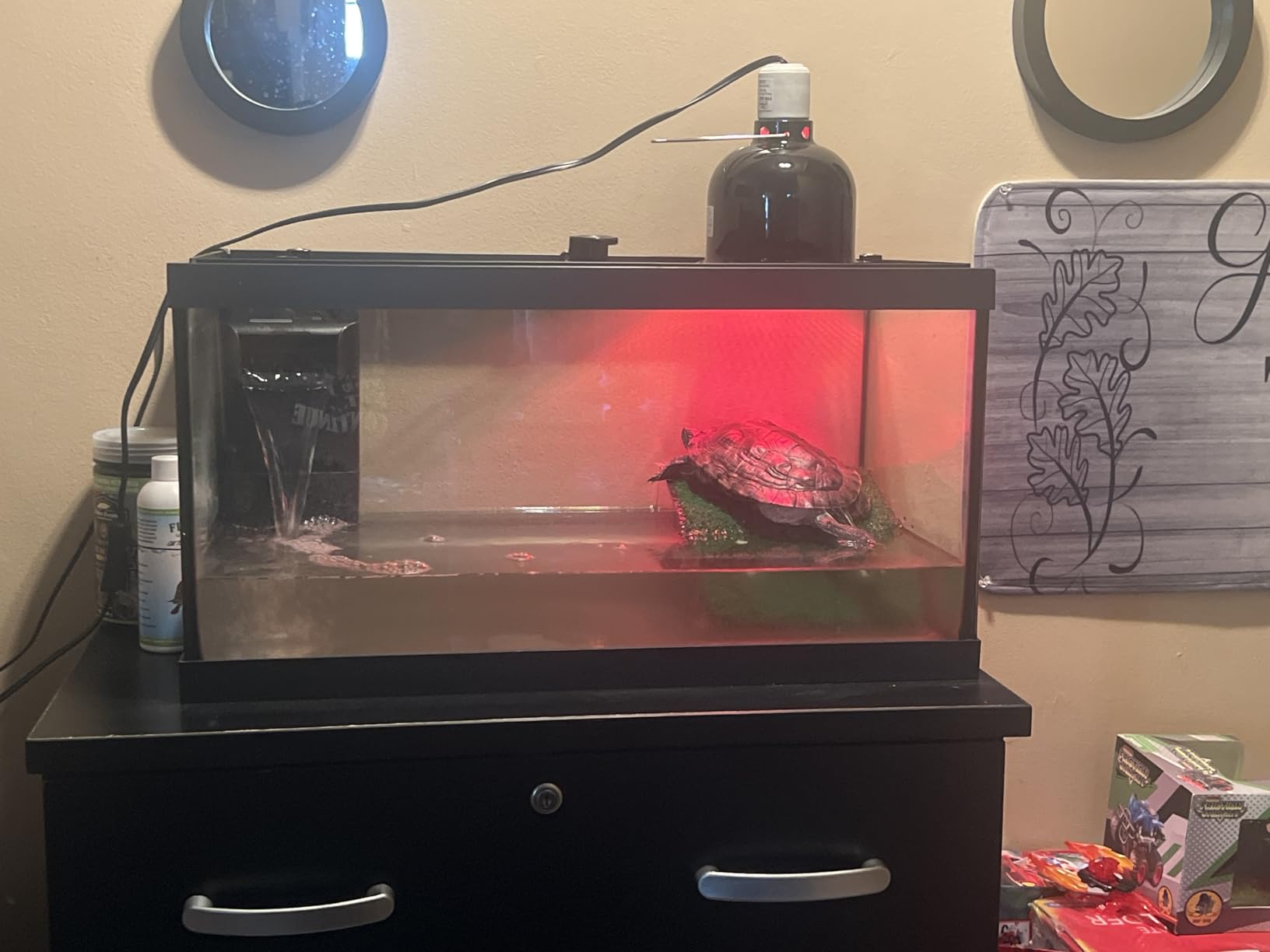 Tetra 20 Gallon Deluxe Aquarium Kit for Aquatic Turtles | Includes 2 Heat Lamps, 20 Gallon Glass Tank With Screen, Decorative Water Filter With Cartridges, Basking Platform, Plant customer photo 2