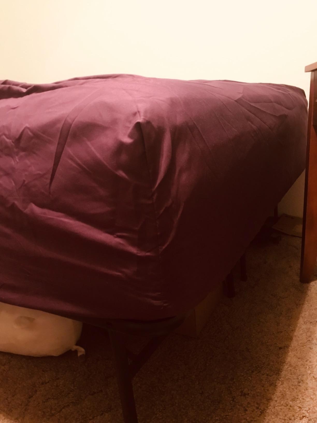 Bare Home Queen Fitted Sheet - 1800 Ultra-Soft (Queen, Sand) | Deep Pockets 6 to 15 Inches, Premium 1800, Breathable, Hypoallergenic, Hotel Luxury, Easy Fit, Soft, All-Season customer photo 1