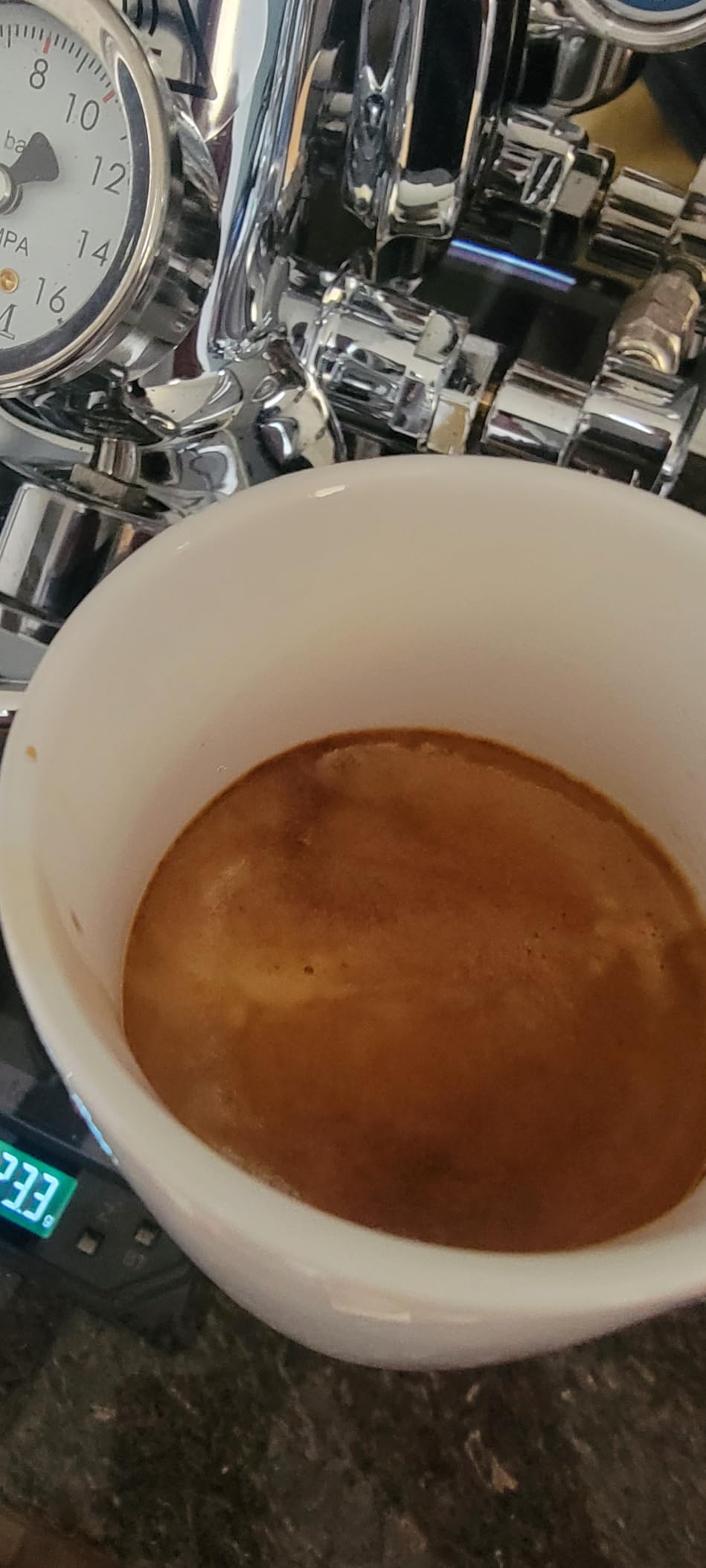 Nicoletti Coffee