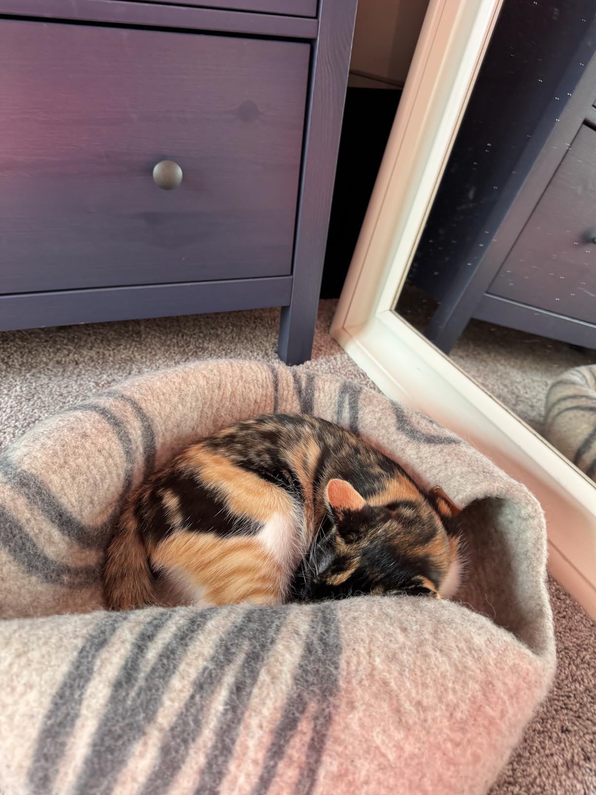MEOWFIA Cat Cave - Merino Wool Bed for Indoor Cats (Light Gray, Medium) | Cat Bed Enclosure, Premium Felt, Handmade, Super Soft, Lightweight, Breathable, Adjustable Shape customer photo 2