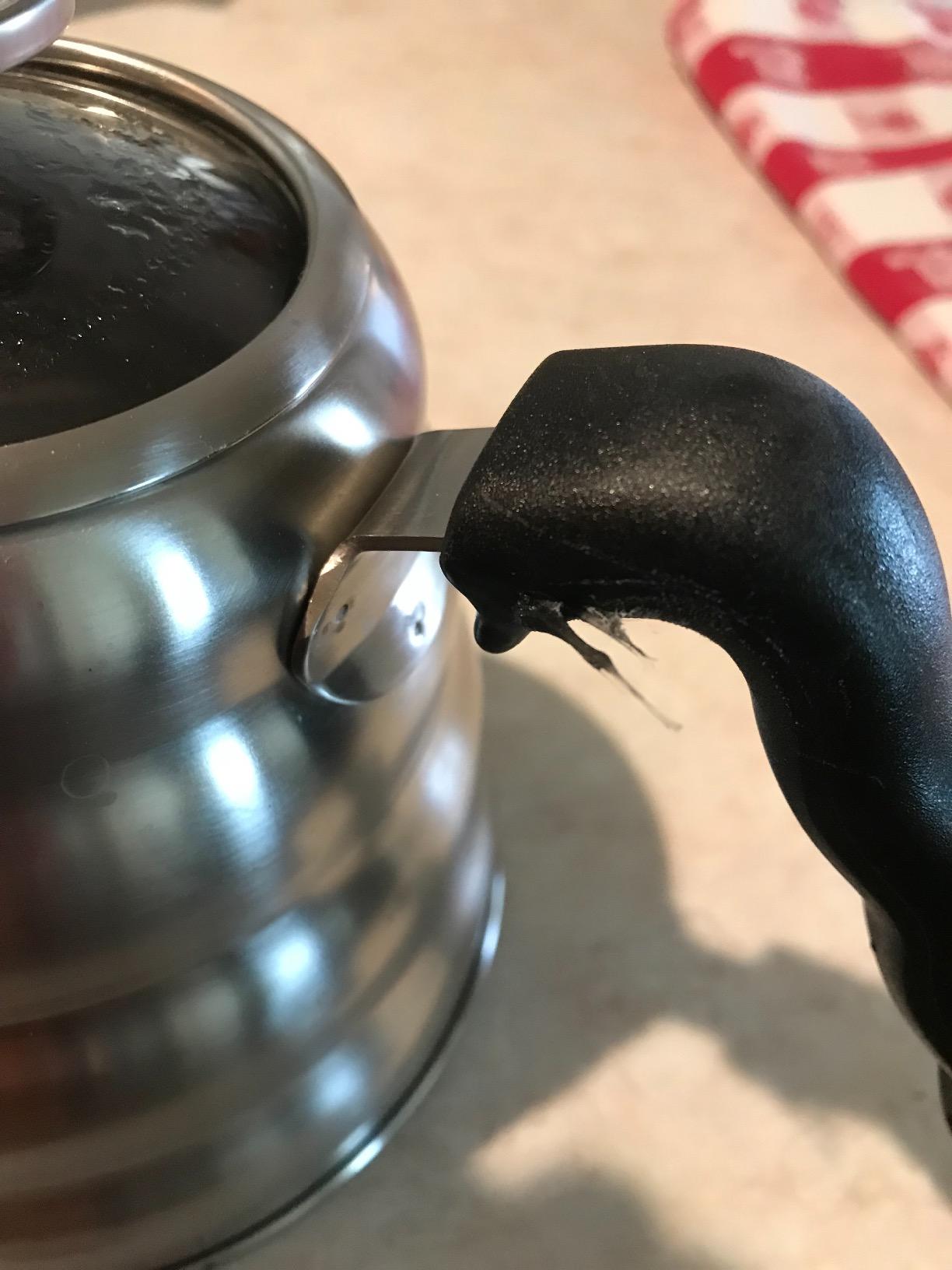 Bean Envy Gooseneck Kettle Stovetop - Pour Over Kettle with Thermometer | 40 Oz (1,200 ml) Stainless Steel, Coffee and Tea Brewing, Ergonomic Heat-Safe Handle, Precision Flow Control customer photo 2