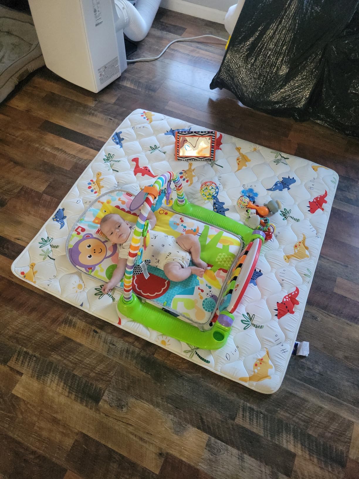 Fisher-Price Baby Playmat Deluxe Kick & Play Piano Gym for Learning & 2 Maracas Soft Rattles for Newborn to Toddler Play Ages 0+ Months customer photo 1