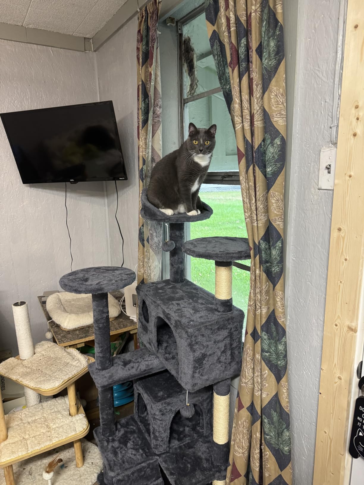 Yaheetech 54in Cat Tree Tower, 2 Caves, Kitten-Ear Perch & Scratching Posts | Multi-level layout, climbing ladder, easy assembly, high pet appeal, total load 66lbs for all indoor cats, dark gray customer photo 1