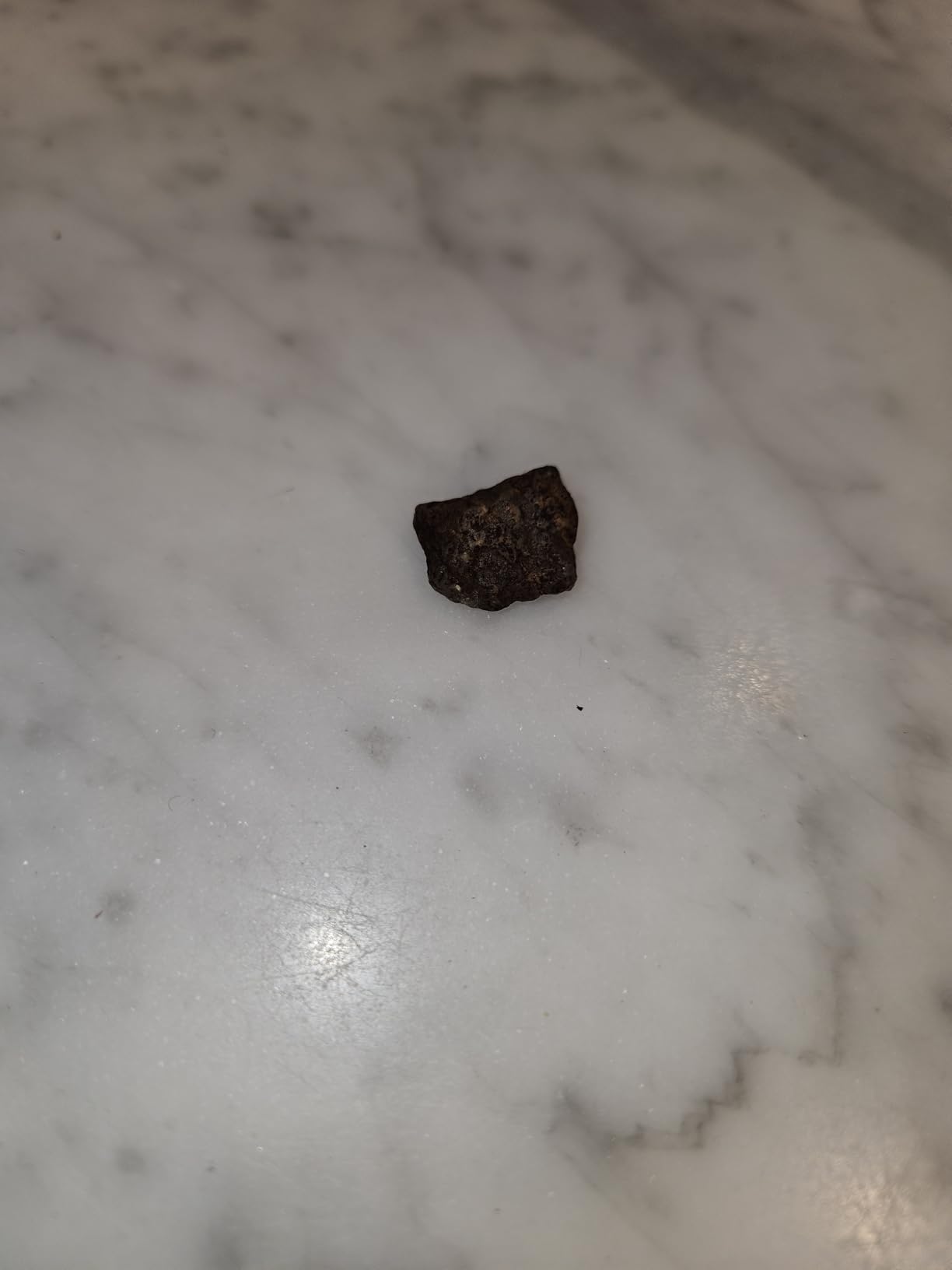 BROOKLYN COFFEE Whole Bean, Italian Dark Roast (5lb) Extra Strong, Delicious Taste, Heavenly Aroma - Fresh Bulk Coffee Beans Roasted Weekly in NYC customer photo 1