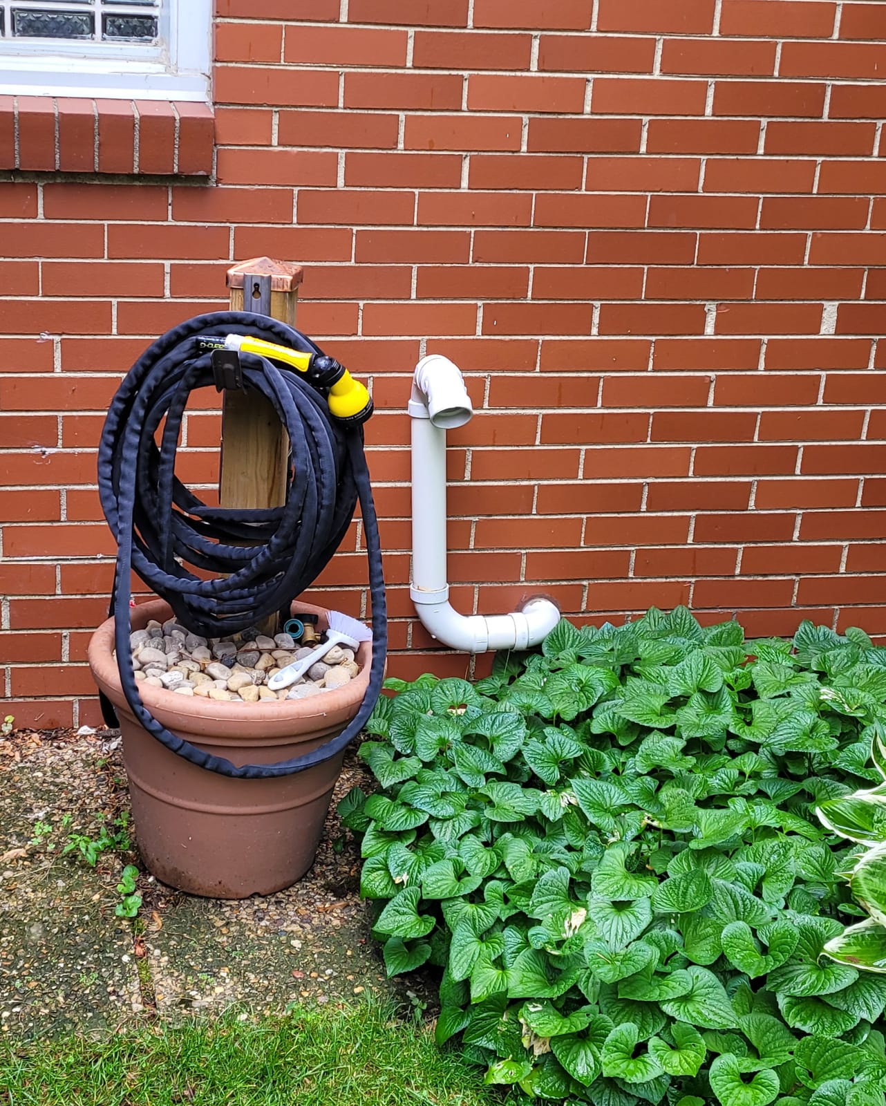 New zero-G 4001-50 Lightweight, Ultra Flexible, Durable, Kink-Free Garden Hose, 5/8-Inch by 50-Feet customer photo 2