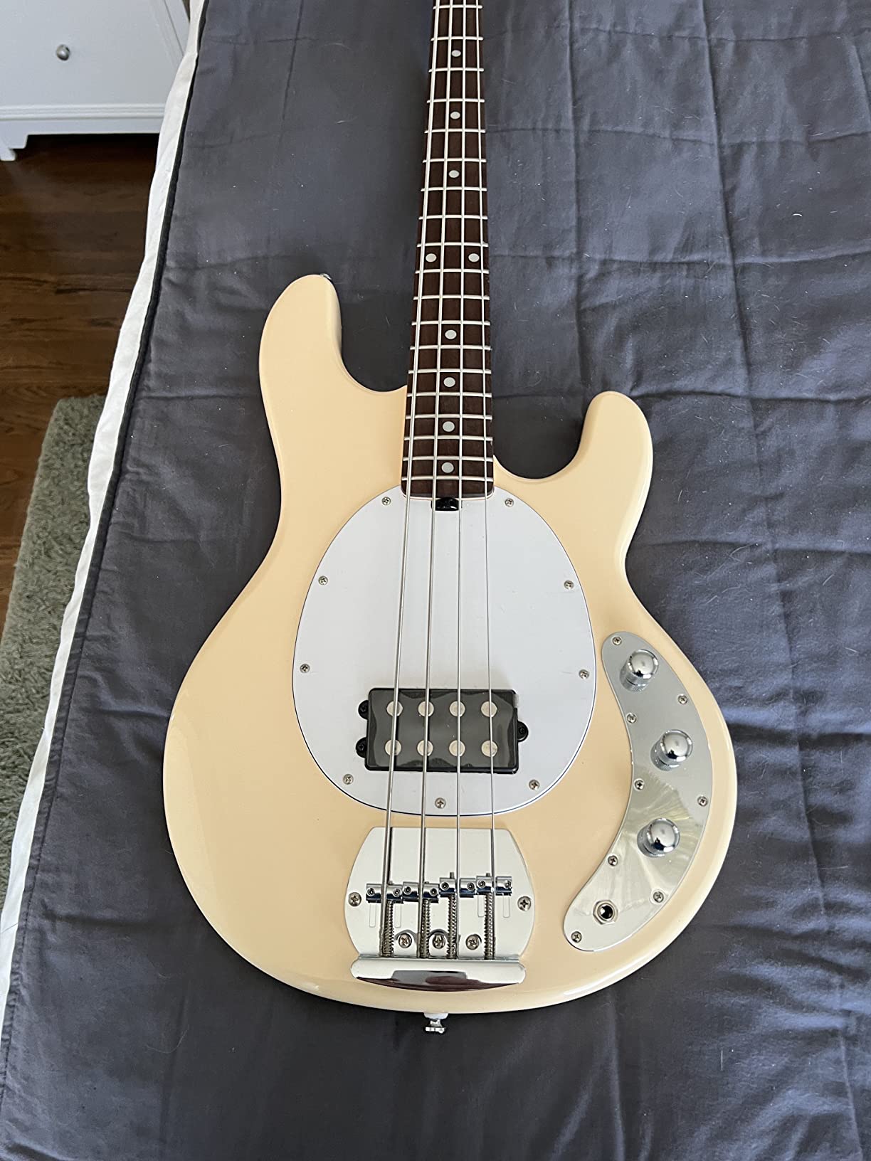 Sterling by Music Man StingRay Ray4 Bass Guitar in Walnut Satin customer photo 1