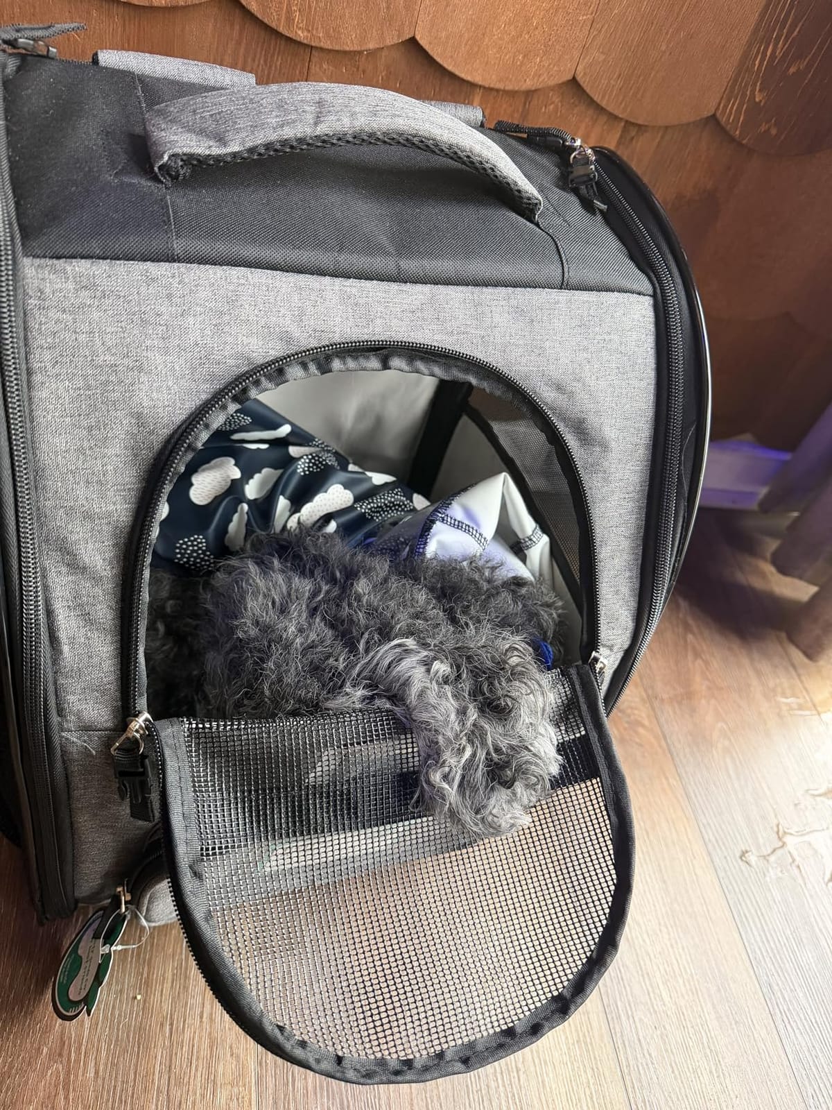 PetAmi Dog Backpack Carrier Airline Approved Cat Pet Puppy Bag, Black customer photo 2