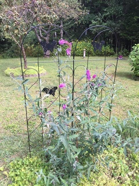 Amagabeli Garden Trellis for Climbing Plants 47