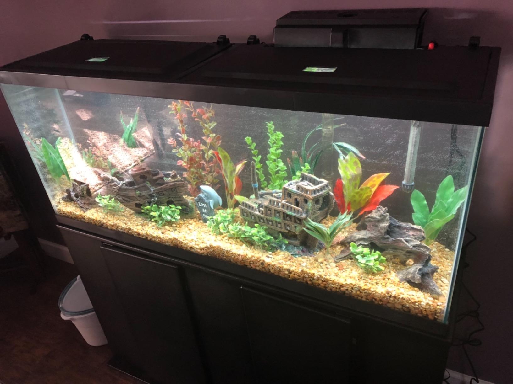 Tetra LED 55 Gallon Complete Fish Tank Kit for Freshwater Fish, Includes White LED Lights, 55 Gallon Glass Tank With 2 Hinged Hoods, Filter & Cartridge, Heater, Air Pump customer photo 1
