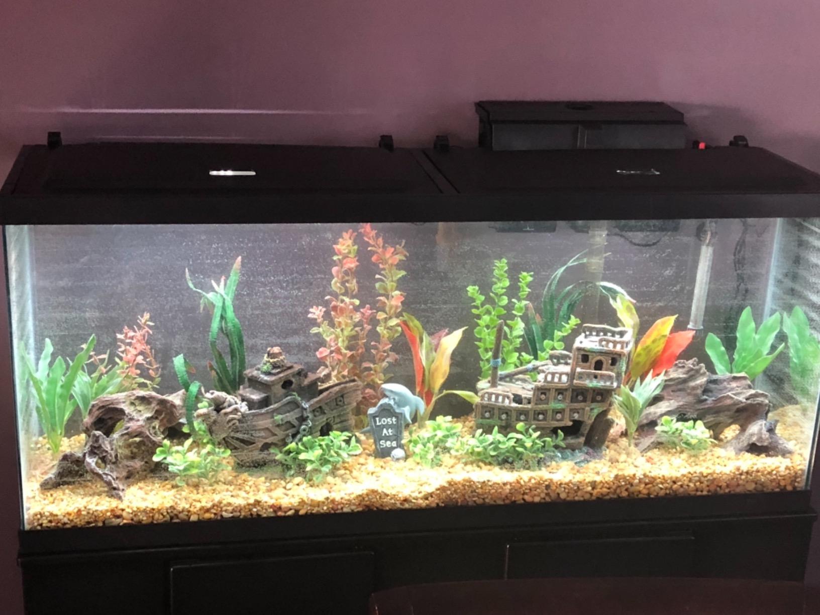 Tetra LED 55 Gallon Complete Fish Tank Kit for Freshwater Fish, Includes White LED Lights, 55 Gallon Glass Tank With 2 Hinged Hoods, Filter & Cartridge, Heater, Air Pump customer photo 2