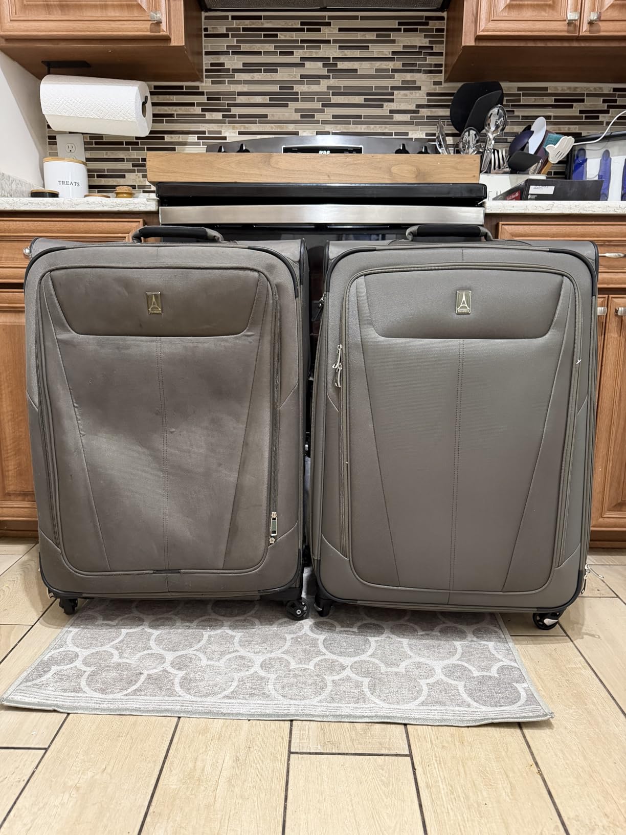 Travelpro Maxlite 5 Softside Carry-On Luggage Spinner, Black, 21-Inch | Expandable With 4 Wheels, Lightweight & Versatile Travel Design, Men & Women customer photo 1