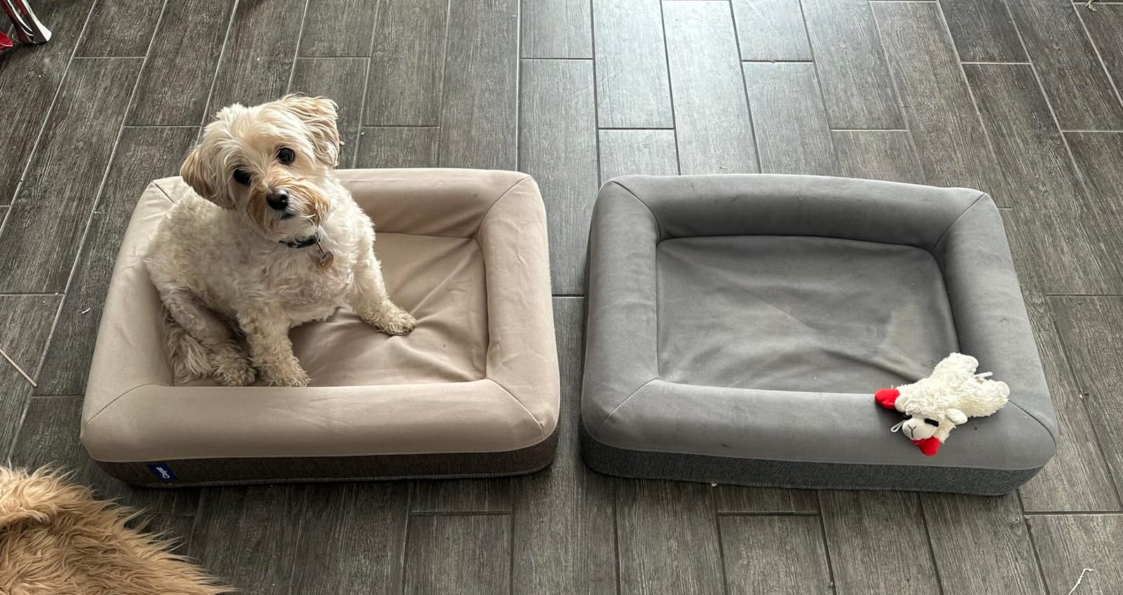Casper Dog Bed, Plush Memory Foam, Large, Gray customer photo 1