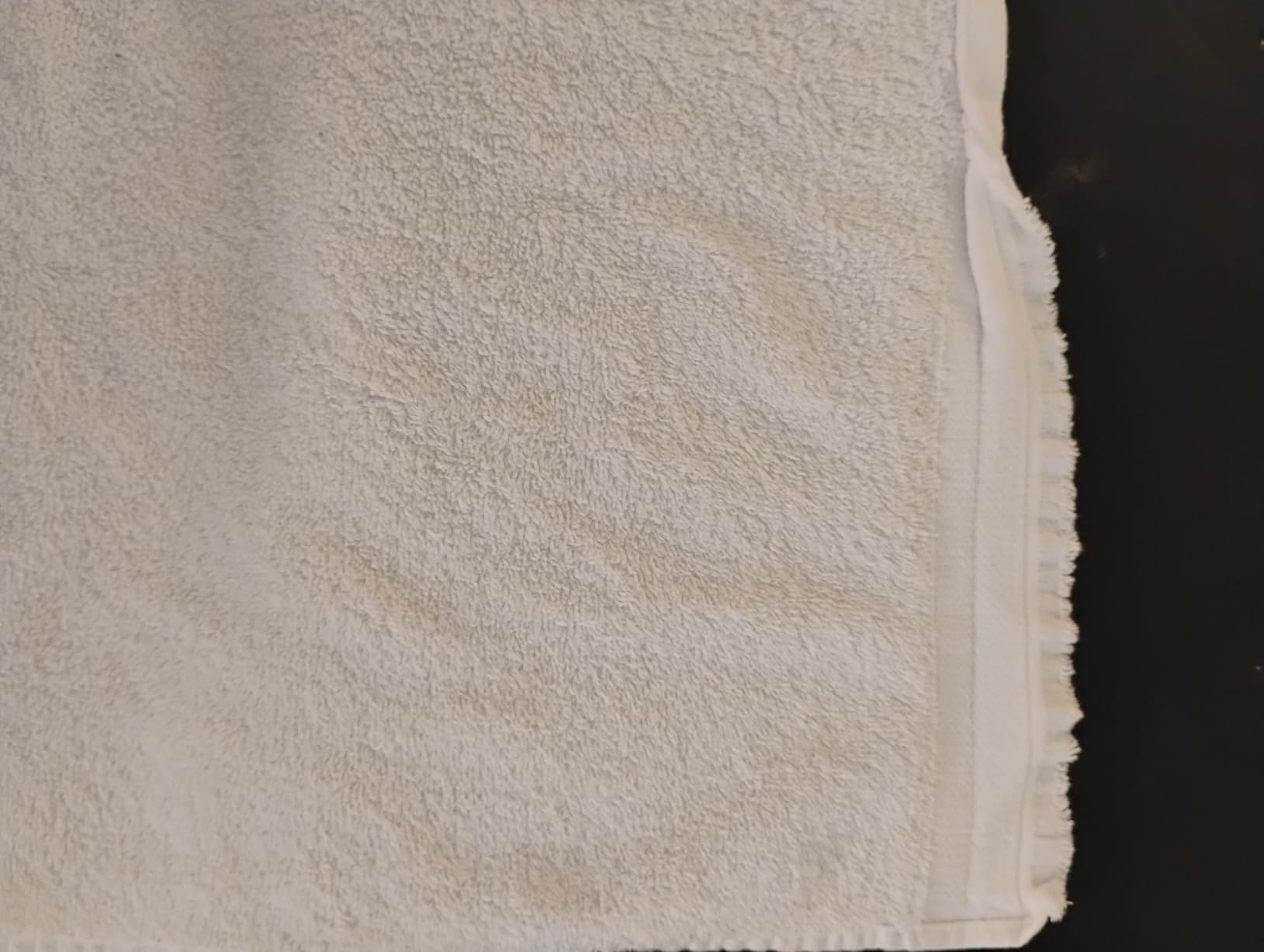 Amazon Basics Soft and Thick Cotton Hand Towels for Bath, Kitchen, Gym, 16 x 26 in, White, 12-Pack customer photo 2