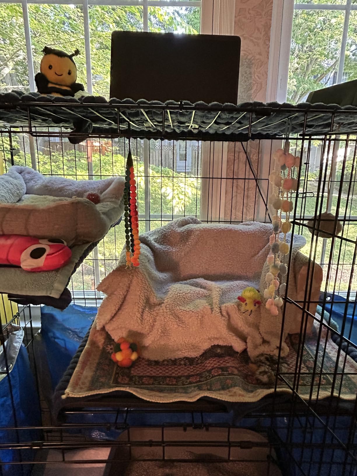 Amazon Basics Large 3-Tier Cat Cage Playpen with Easy to Clean Removable Tray, Front Doors, Portable, Foldable, 35.8
