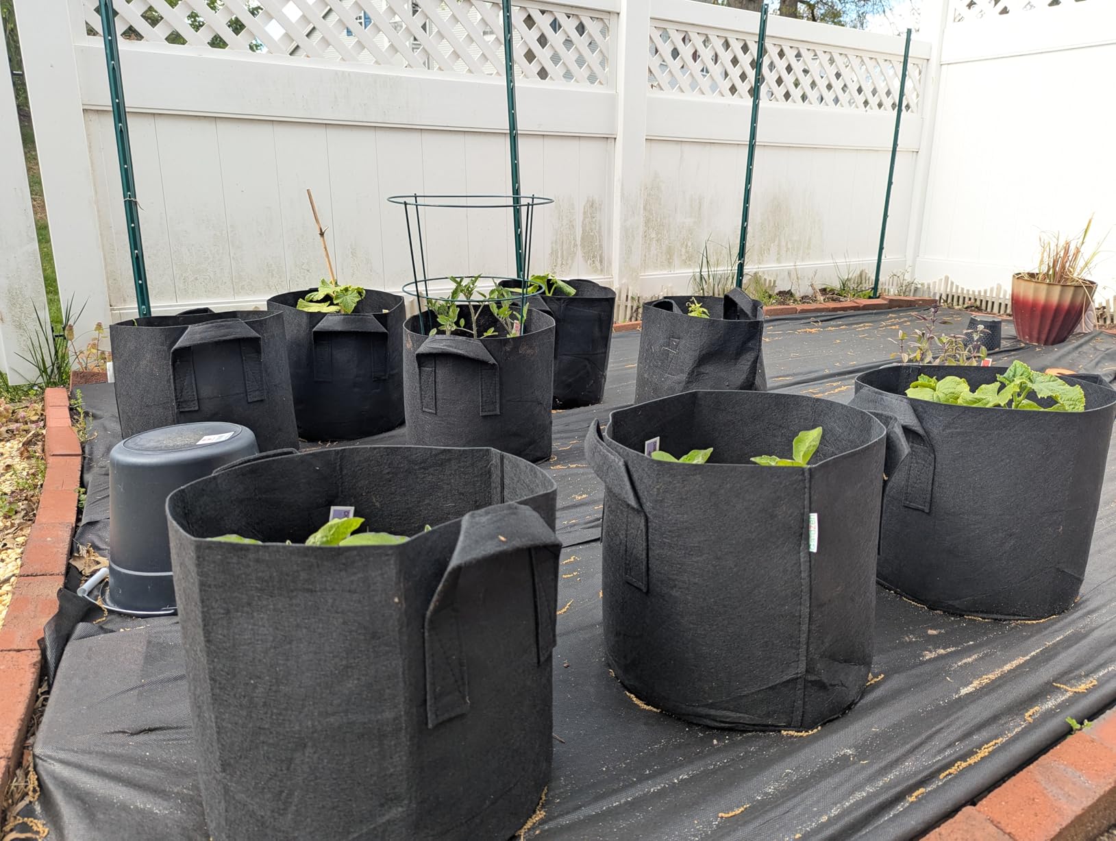 Gardzen 10-Pack 10 Gallon Grow Bags Fabric Pots with Heavy Duty Handles | Excellent Drainage & Breathability, Thickened 300G Nonwoven Fabric, BPA Free, Durable for Vegetable & Flower Growing customer photo 2