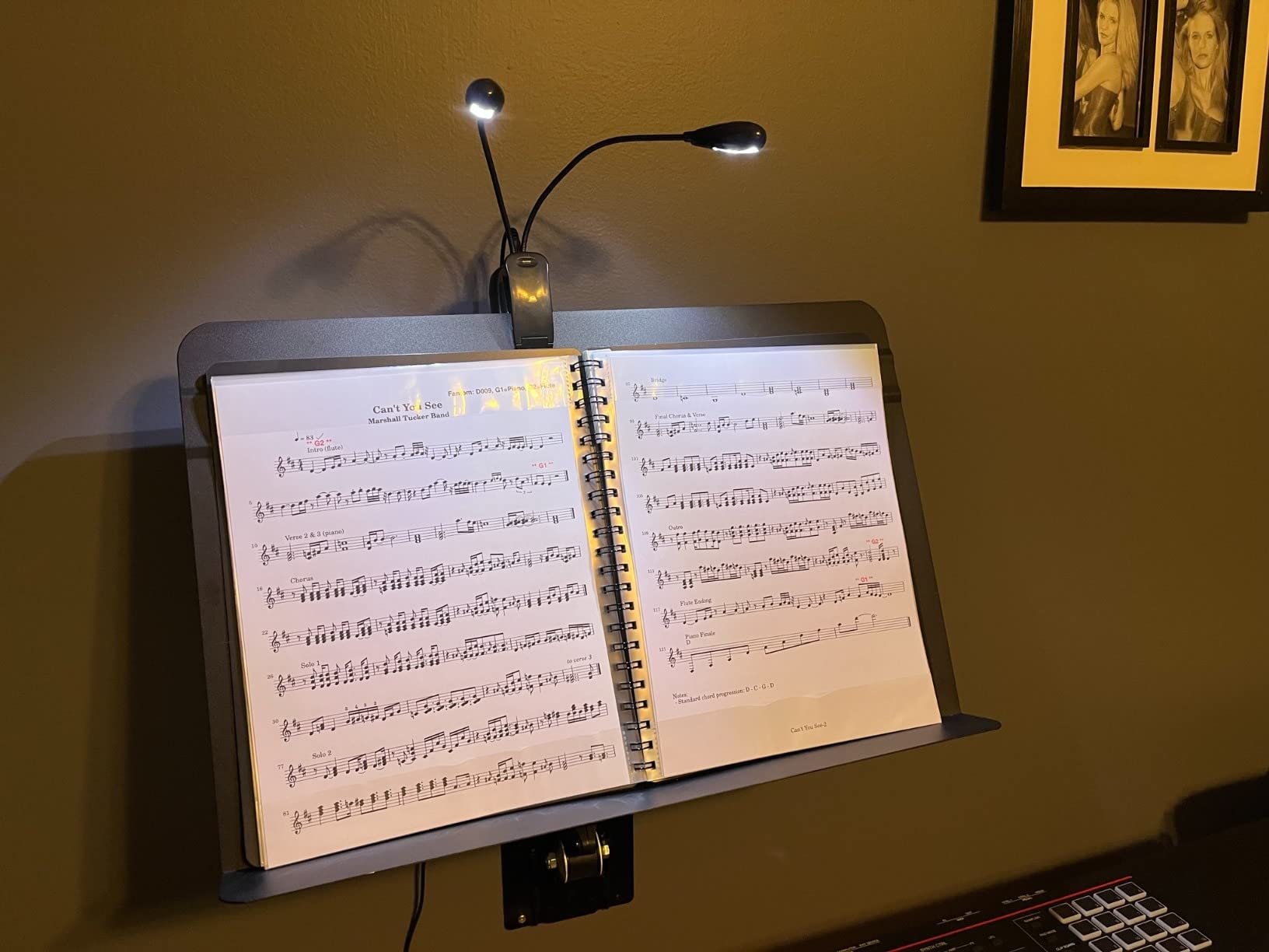 Music Stand Light, 1/2/4/10 Pack Clip on LED Book Lights, USB and AAA Battery Operated, Reading Lamp in Bed, 4 Brightness Levels, Ideal for Musician, Piano Player, Sheet Music, Travel (Dual Arm) customer photo 2