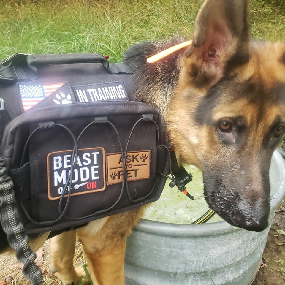 SportDOG 425X FieldTrainer 425X Remote Trainer - 1/2 Mile Range, Waterproof, Rechargeable, Tone/Vibration/Static Correction, Expandable to 3 Dogs customer photo 2