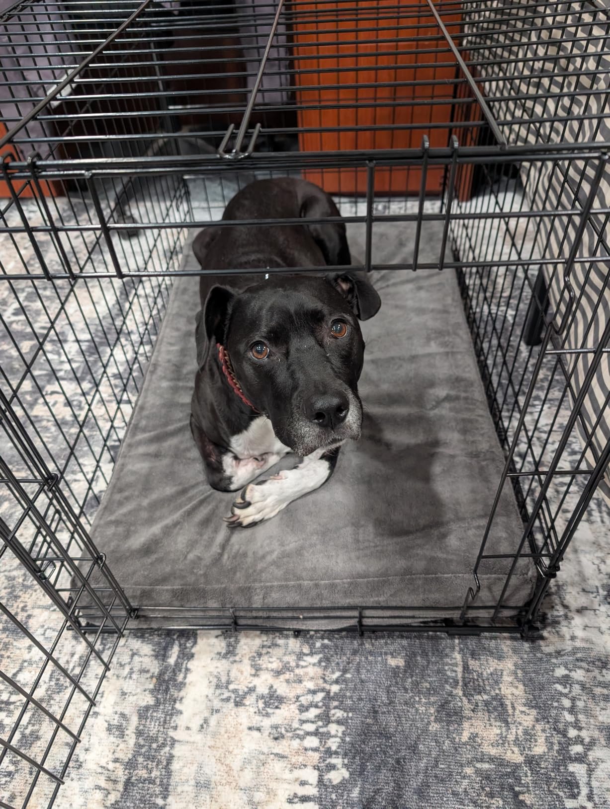 BarkBox Orthopedic Dog Bed - Large | with Memory Foam - Comfortable, Durable & Machine Washable Pet Bed - Grey customer photo 1
