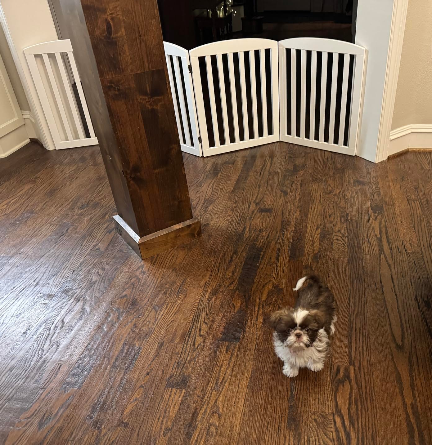 PAWLAND Wooden Freestanding Foldable Pet Gate for Dog, 24