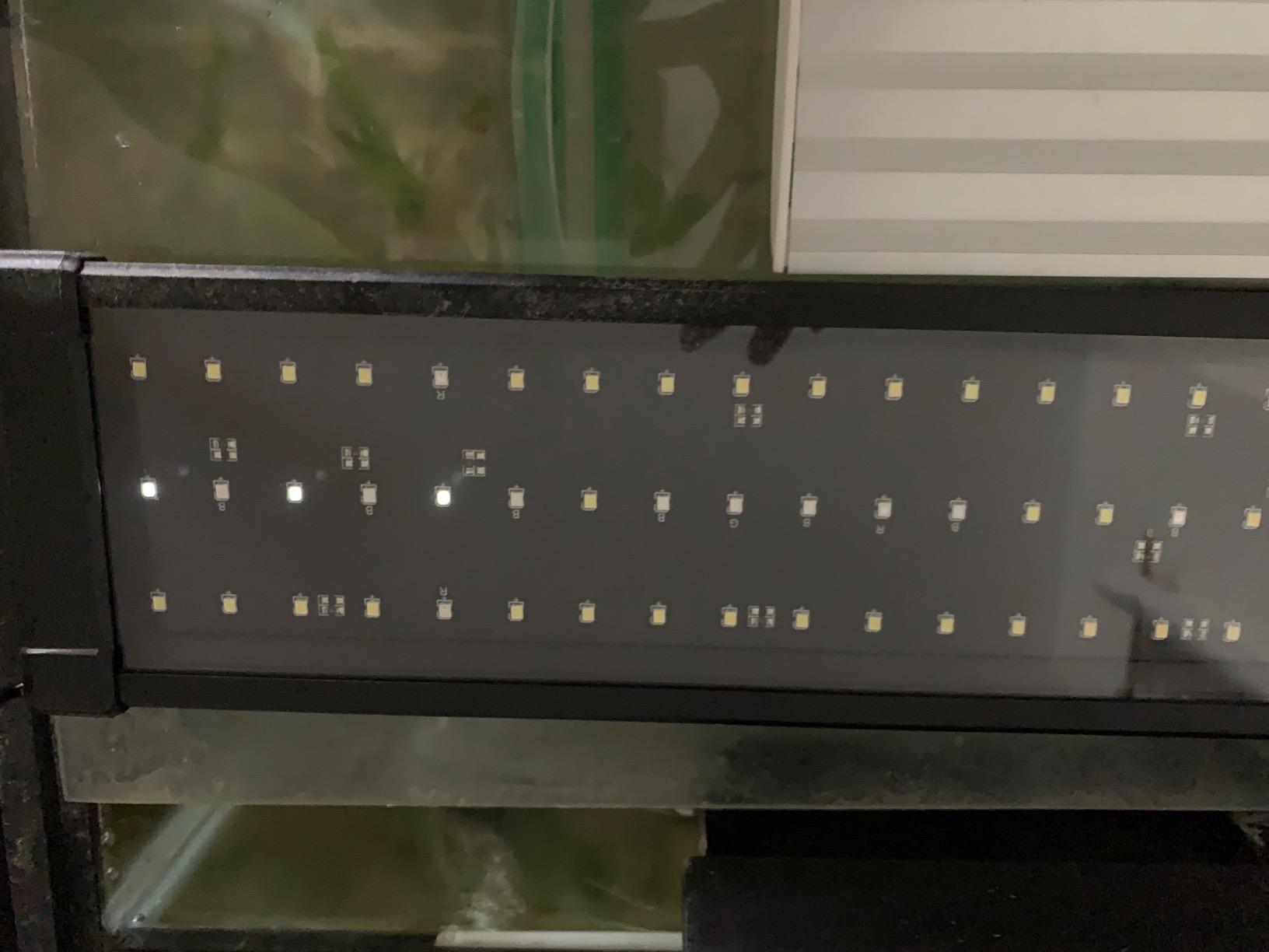 NICREW ClassicLED Plus LED Aquarium Light, 15W, for 18 to 24 Inch Fish Tank | Natural Full Spectrum Lighting, Sunrise & Sunset Simulation, CRI 91 Color Rendering, Customizable Lighting Schedule customer photo 2
