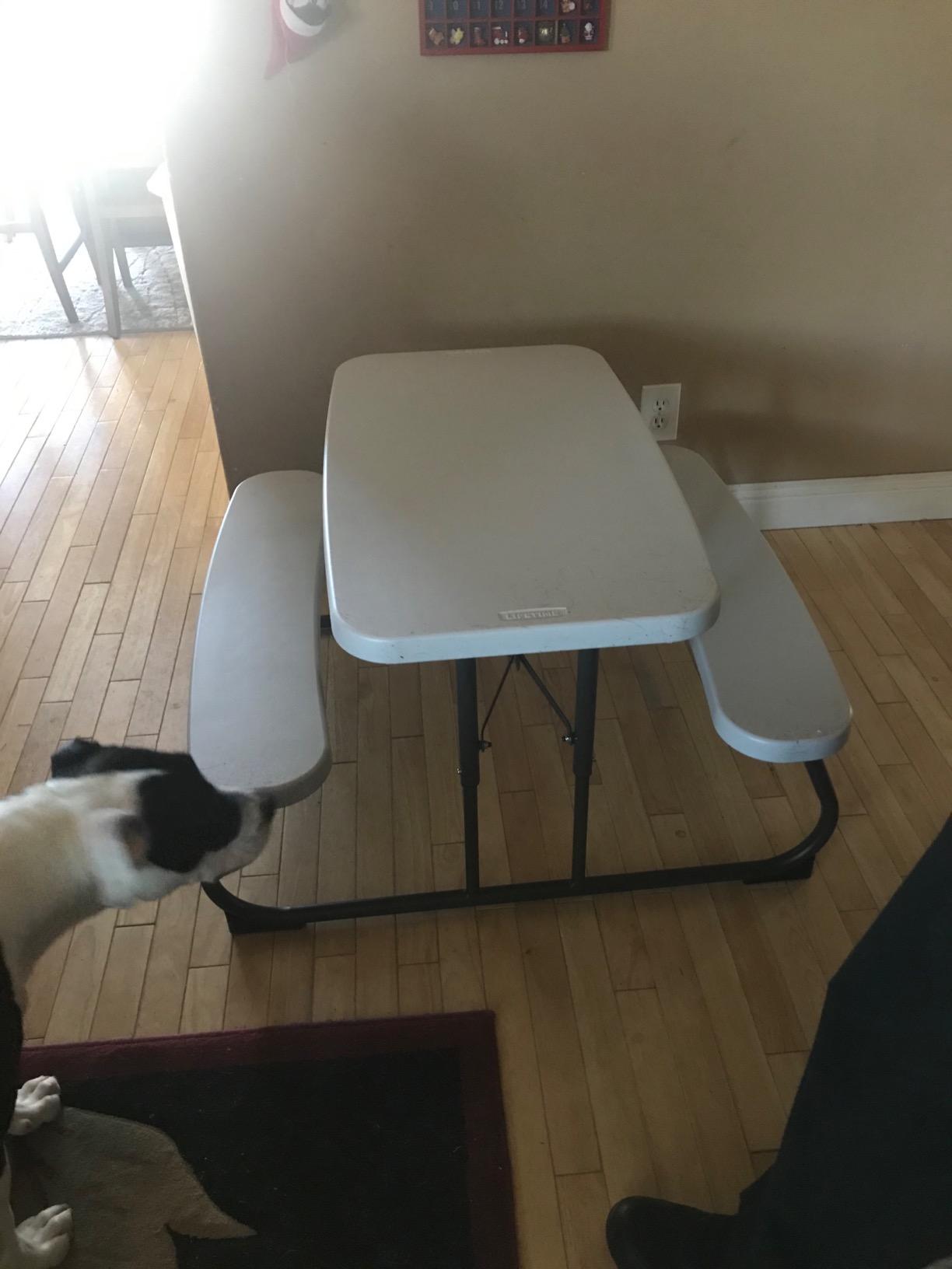 LIFETIME Kid's Picnic Table, White customer photo 1